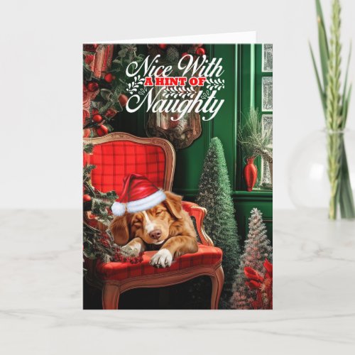 Christmas Duck Tolling Retriever Naughty or Nice Holiday Card