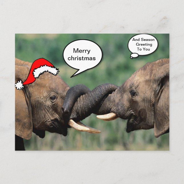 Christmas Elephant Holiday Postcard (Front)