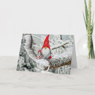 Christmas Elf On Snowy Branch Card