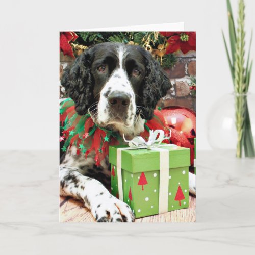 Christmas _ English Springer Spaniel _ Barney Holiday Card