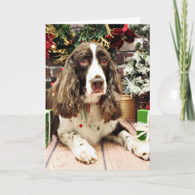Christmas - English Springer Spaniel - Logan Holiday Card (Front)