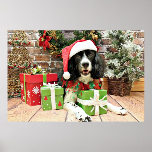Christmas - English Springer Spaniel - Lucy Poster (Front)