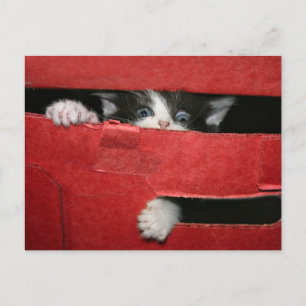 Christmas escape holiday postcard