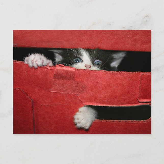 Christmas escape holiday postcard (Front)