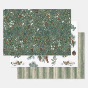 Christmas Evergreen Branches Pinecone Bird Stripe  Wrapping Paper Sheets