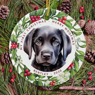 Christmas Face Mask Santa Dog 2020 Pandemic Ceramic Ornament