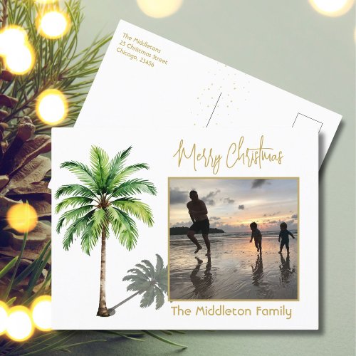 Christmas Family Photo Tropical Palm Tree Postcard