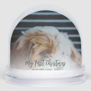 Christmas Family Photos Custom Keepsake Snow Globe