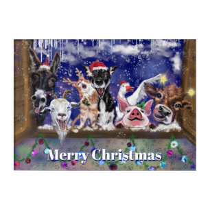 Christmas Farm Animals Acrylic Print