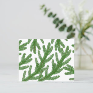 Christmas fir tree branches   postcard