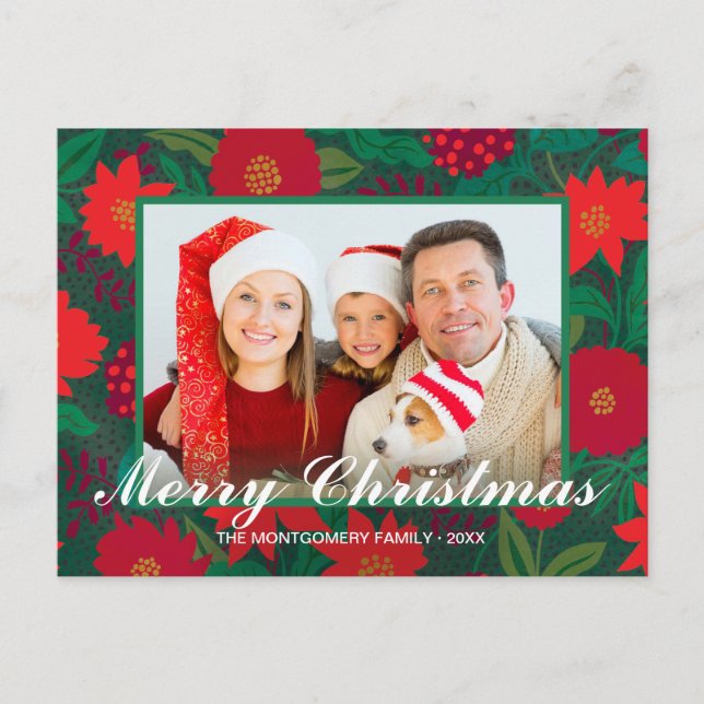 Christmas Floral Red Poinsettia Green Family Photo Holiday Postcard (Front)