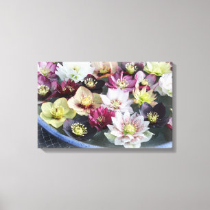 Christmas Flower Canvas Print