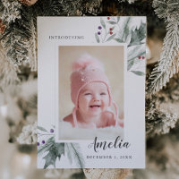 Christmas Foliage Baby Photo Birth