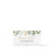 Christmas foliage greenery gold red diaper raffle