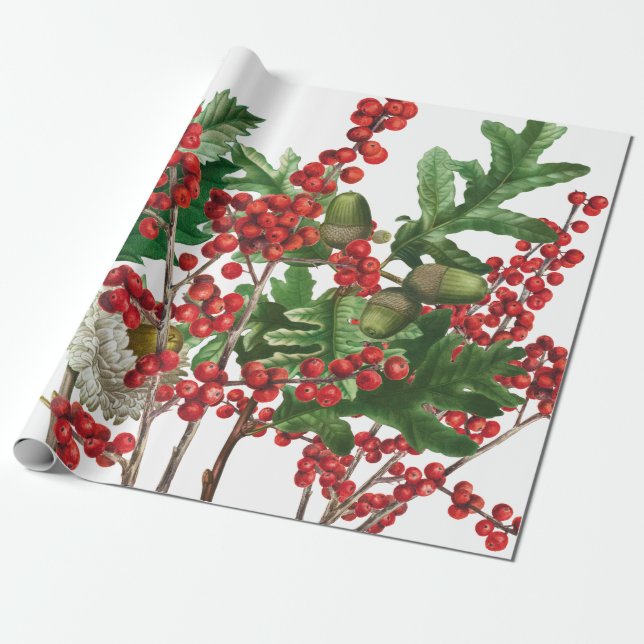 Christmas Forest Festive Berries Acorn Evergreen  Wrapping Paper (Unrolled)