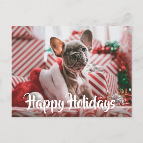 Christmas French Bulldog among Christmas Presents Holiday Postcard