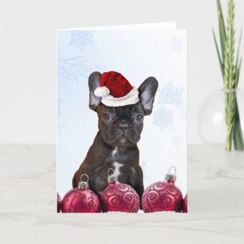 Christmas French Bulldog Holiday Card