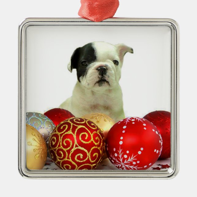 Christmas French Bulldog Metal Ornament (Front)
