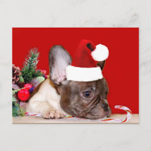 Christmas French Bulldog postcard