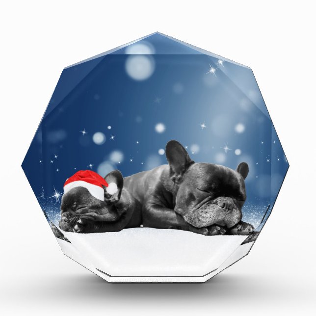 Christmas French Bulldog Puppies snow santa hat Award (Front)