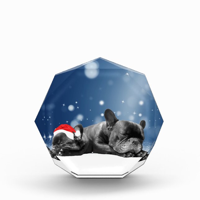 Christmas French Bulldog Puppies snow santa hat Award (Front)