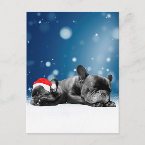 Christmas French Bulldog Puppies snow santa hat Holiday Postcard