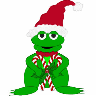 Christmas Frog Ornament