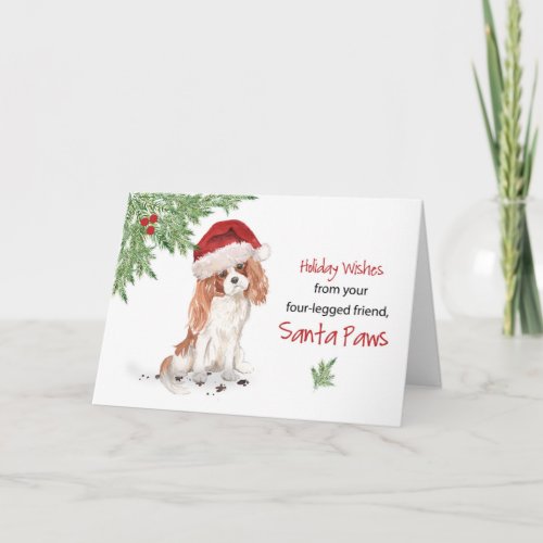 Christmas From Cavalier King Charles Spaniel Dog Card