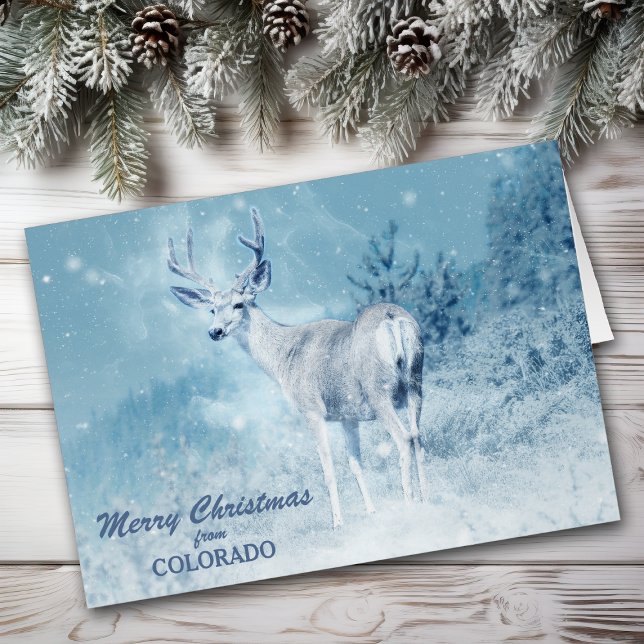 Christmas from Colorado Deer Christmas Card (Creator Uploaded)