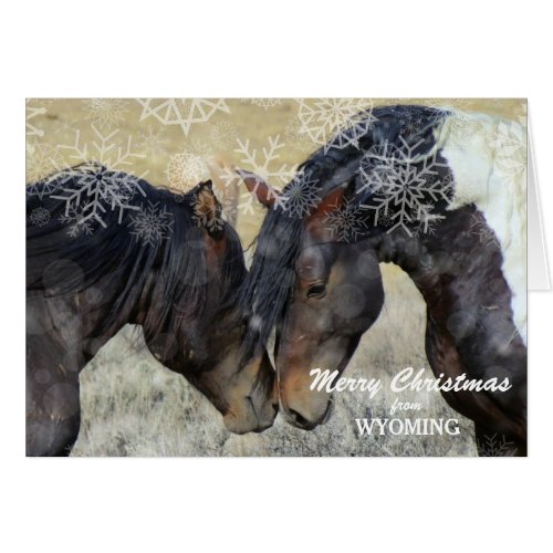 Christmas from Wyoming Wild Horses Christmas Card