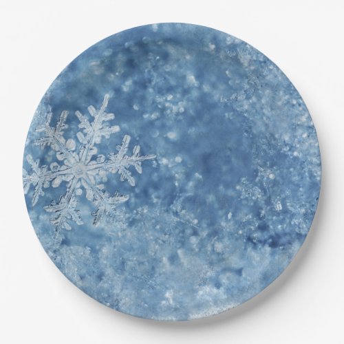 Christmas frozen snowflakes paper plates