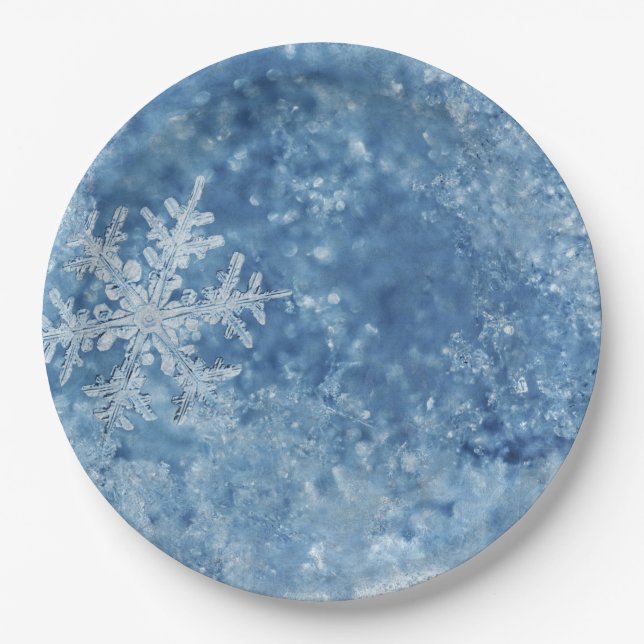 Christmas frozen snowflakes paper plates (Front)