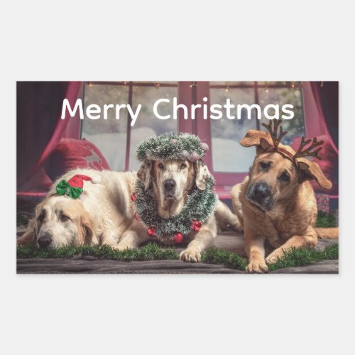 Christmas Fun 3 Dogs Dressed for Season Rectangular Sticker