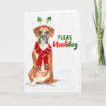 Christmas Funny Boxer Dog Fleas NaviDOG Holiday Card