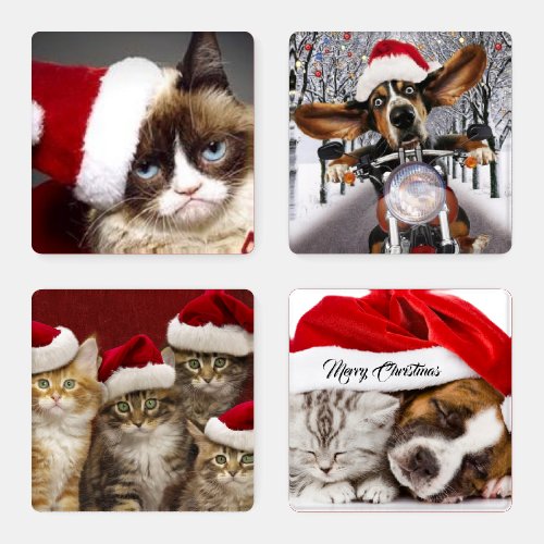 Christmas Funny Cat  Dog images Coaster Set