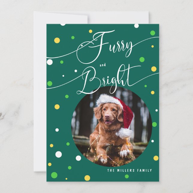 Christmas Funny Furry and Bright Pet annual2 Photo Holiday Card (Front)