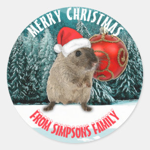 Christmas Funny Hamster In Red Santa Hat Your Text Classic Round Sticker