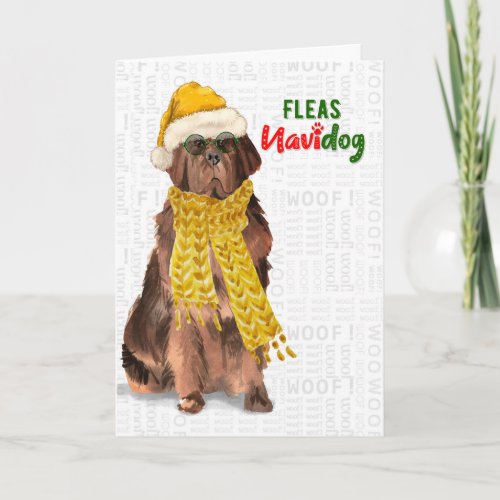 Christmas Funny Newfoundland Fleas NaviDOG Holiday Card