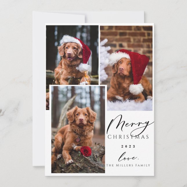 Christmas Funny Pet Merry Christmas 3 Photo Holiday Card (Front)