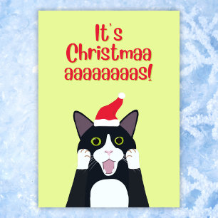 Christmas funny tuxedo cat cartoon holiday card