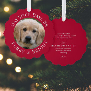 Christmas Furry Bright Pet Photo Red Holiday Ornament Card