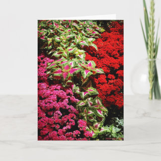 Christmas Garden Elegance Card
