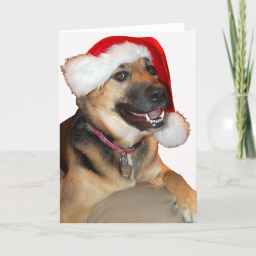 Christmas German Shepherd Holiday Card