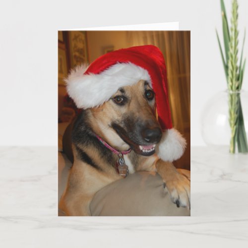 Christmas German Shepherd Holiday Card