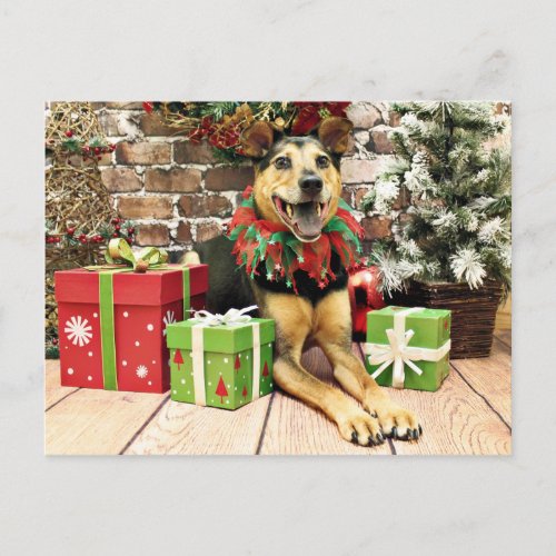 Christmas _ German Shepherd X _ Bailey Holiday Postcard