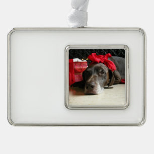 Christmas german shorthaired pointer christmas ornament