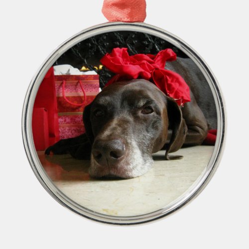 Christmas german shorthaired pointer metal ornament