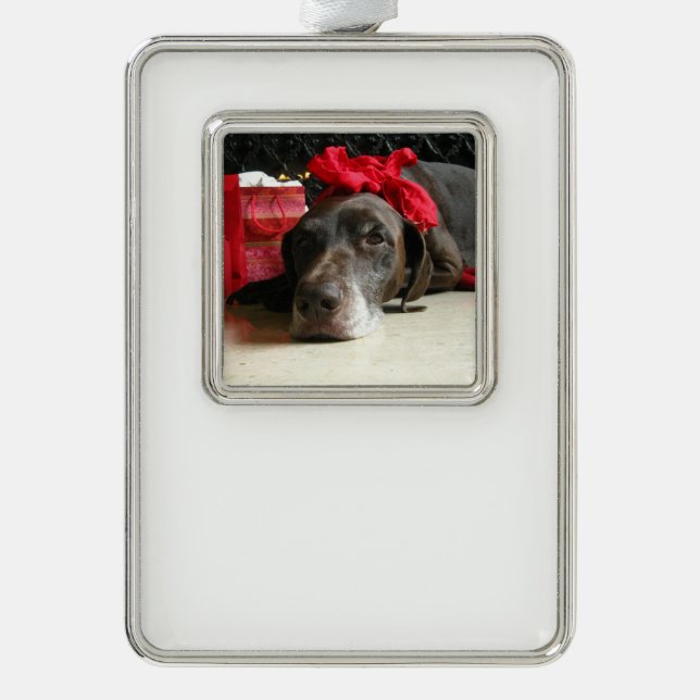 Christmas german shorthaired pointer ornament (Front)