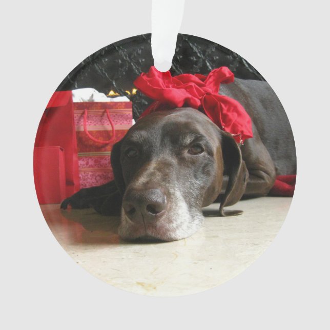 Christmas german shorthaired pointer ornament (Front)