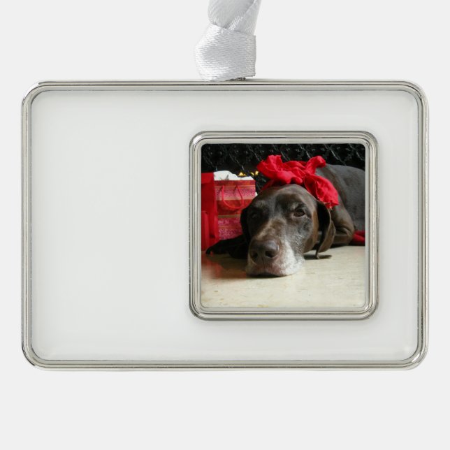 Christmas german shorthaired pointer ornament (Front)